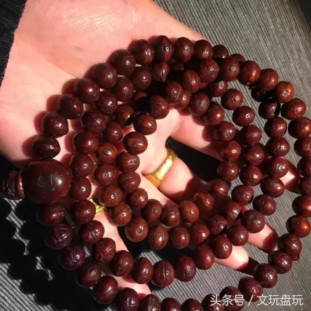 高抛的凤眼菩提怎么盘求回答,凤眼菩提的盘玩用上钢丝刷吗