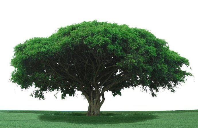 巴菲特：到底什么是价值投资？我来亲自告诉你！