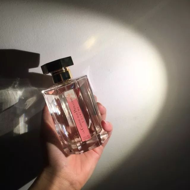 小七的生活记完整版,小七的生活日记618