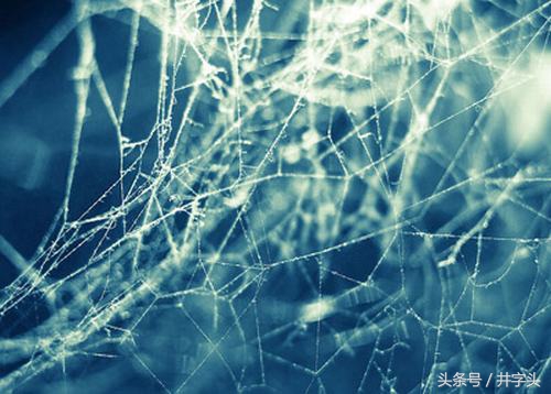 道家的四字真经,洞灵真经讲解全集