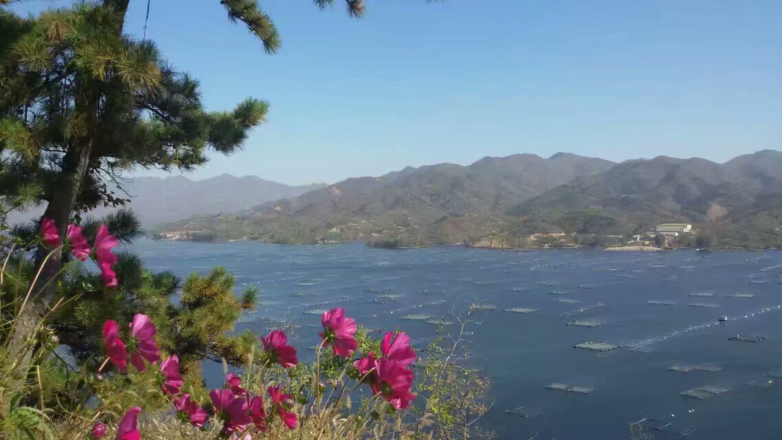 自驾游西峪水库,迁西大黑汀水库自驾游