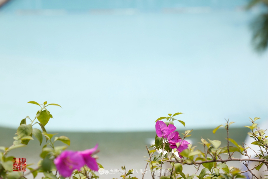 观澜湖简介,深圳观澜湖一整圈有几公里