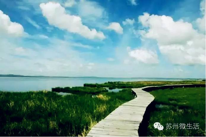 苏州美食商业街排名,苏州美食街区有哪些