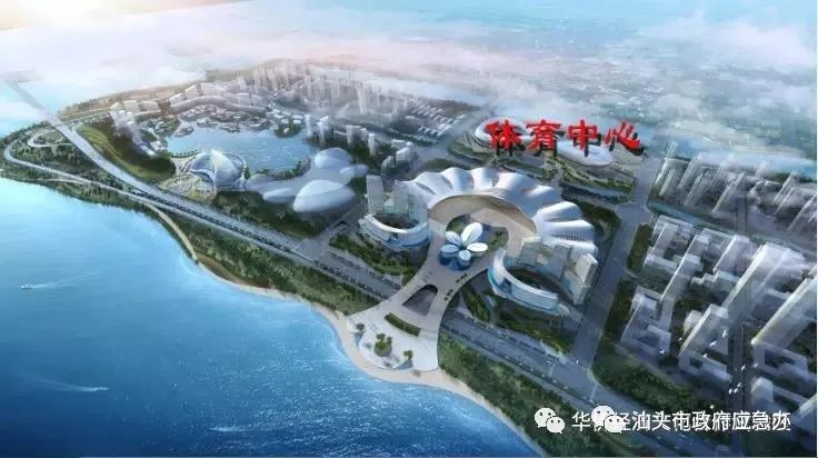 市体育中心球场,我市体育公园建设