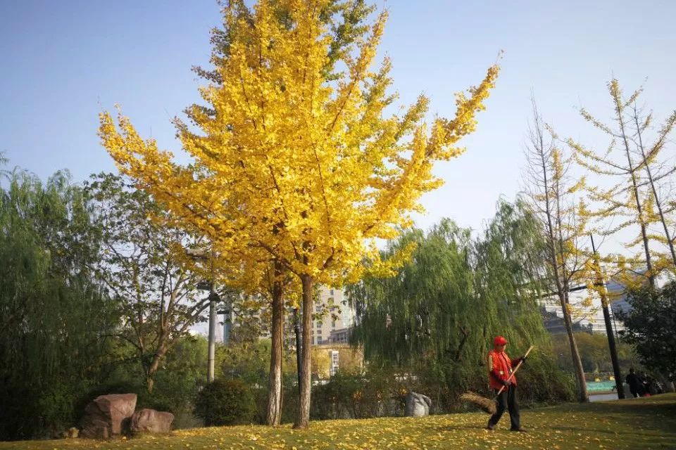 好天气不出门晒太阳,大好的天气不出门