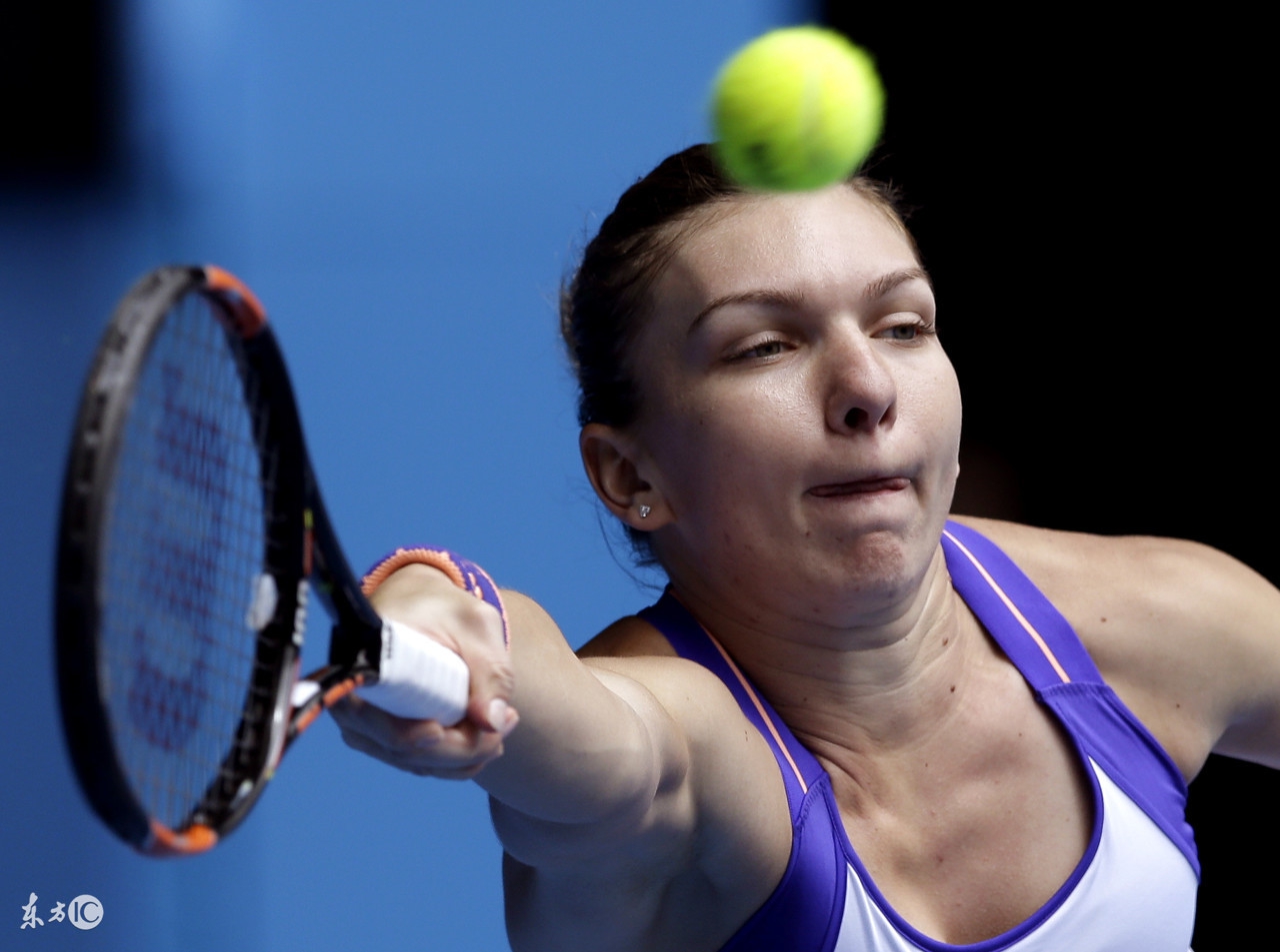 网球公认第一美人哈勒普,女子网球哈勒普目前世界排名