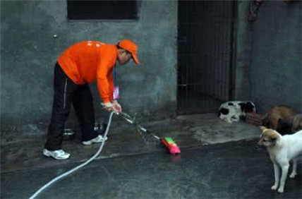 有灵性的狗狗看得人好心酸,狗场的狗狗的悲惨生活