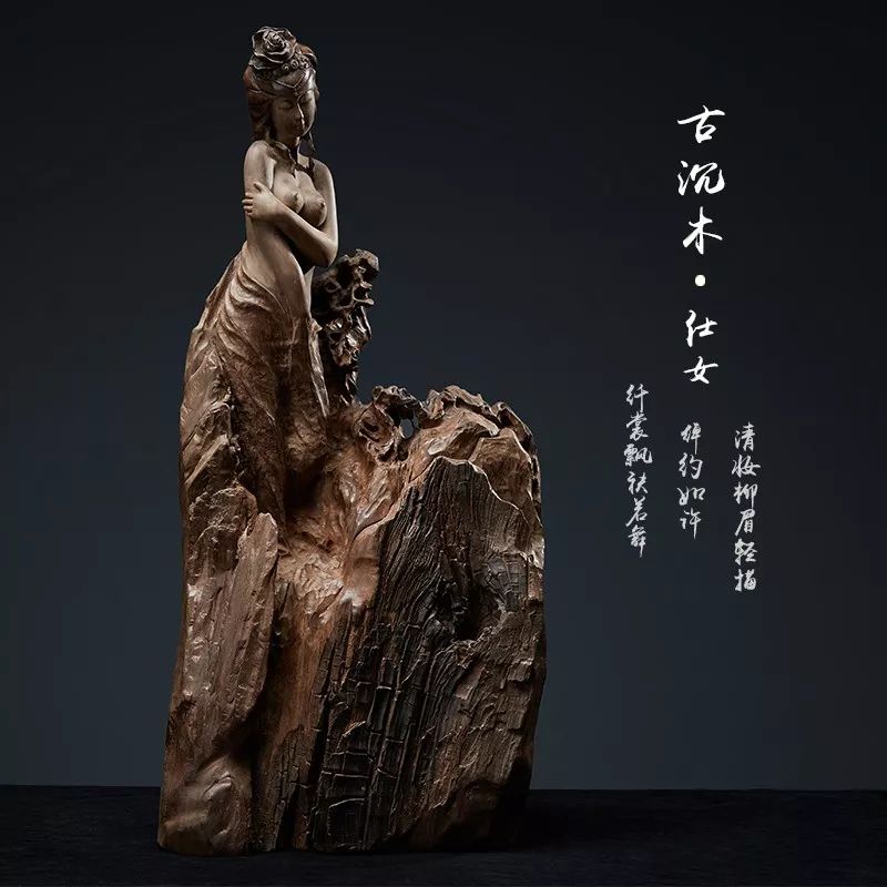 阴沉木是哪几种木,阴沉木种类详细分析