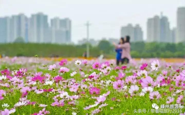 浙江绍兴嵊州生活水平怎么样,嵊州人外出打工的多吗