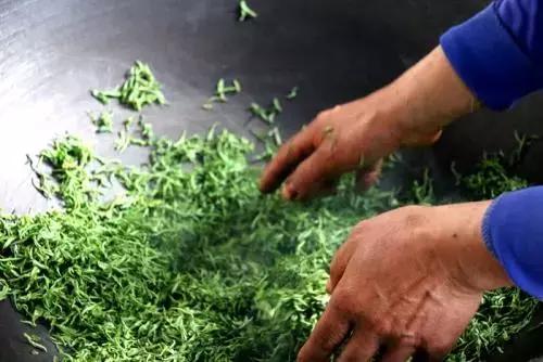 世界上最顶级绿茶,上等极品好茶碧螺春