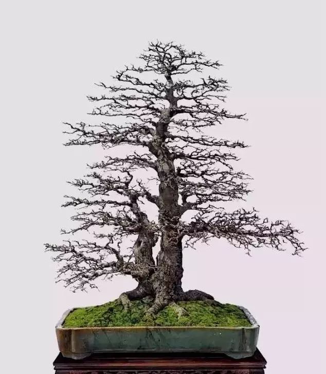 大师是怎么炼成的免费,真正的大师是怎么练成的