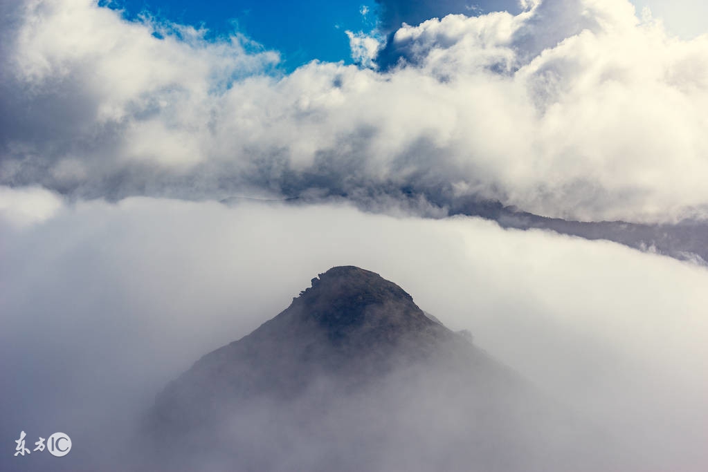 十雾九晴天有什么特征,民间俗语看雾识天气