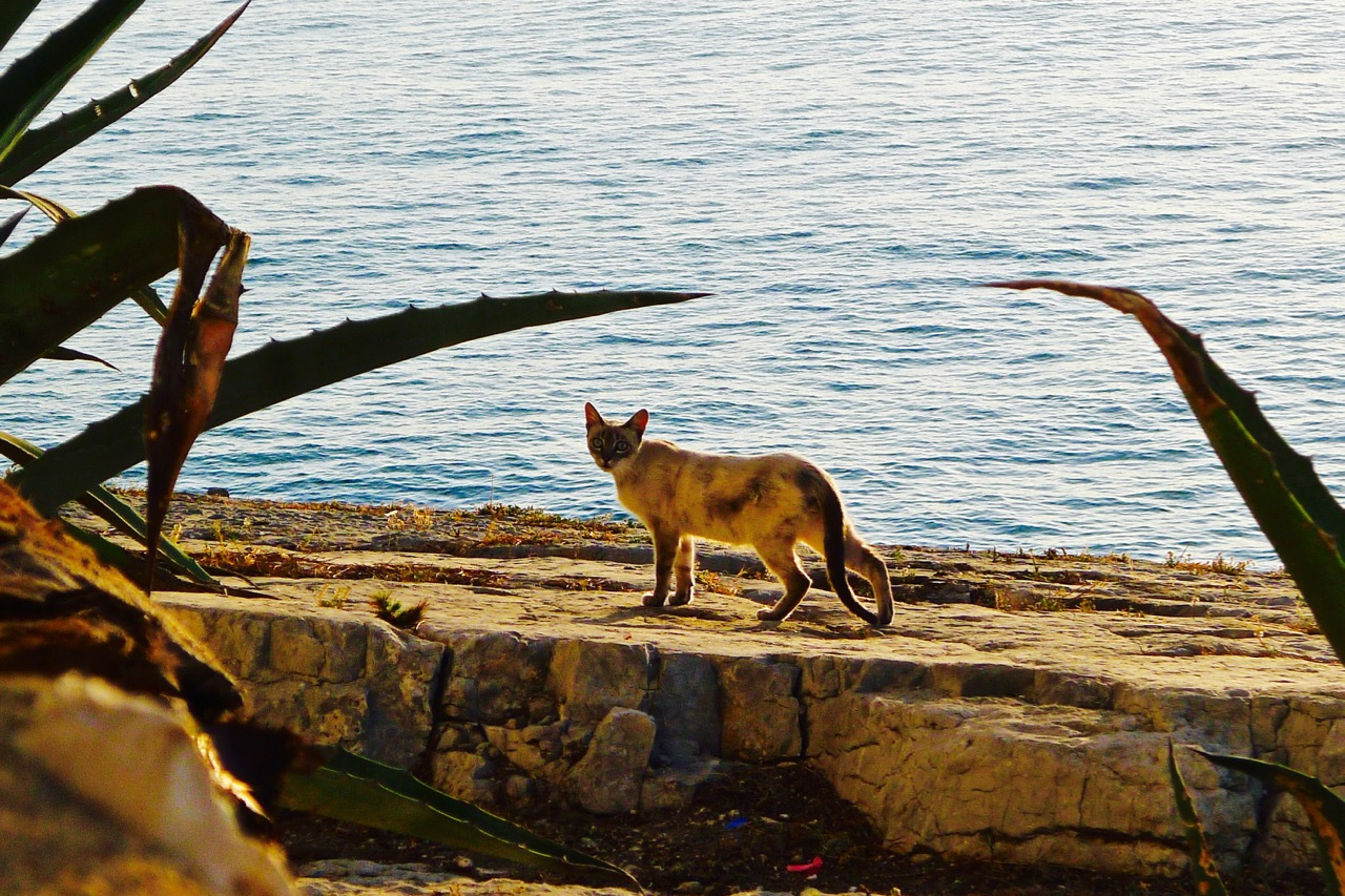权利游戏在摩洛哥的取景地,权力的游戏摄影取景地