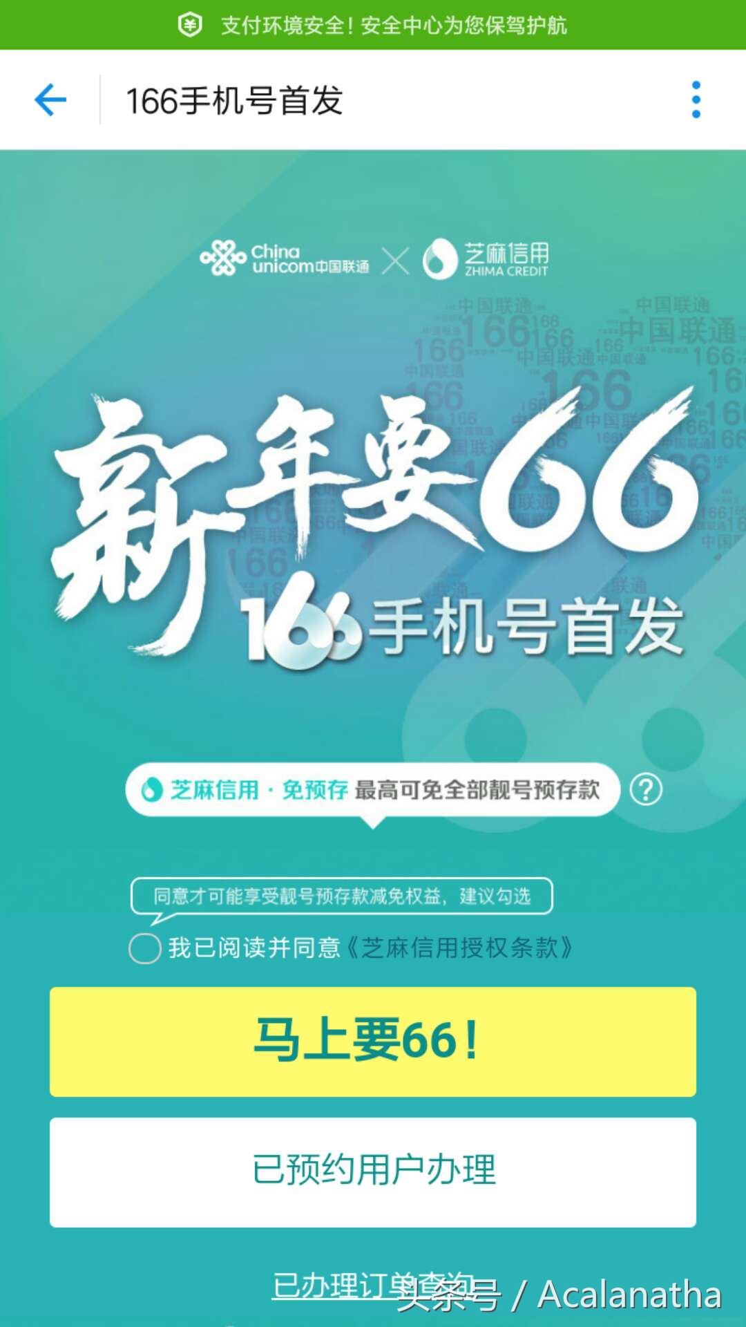 新的蚂蚁宝卡,蚂蚁大宝卡和蚂蚁国宝卡哪个好