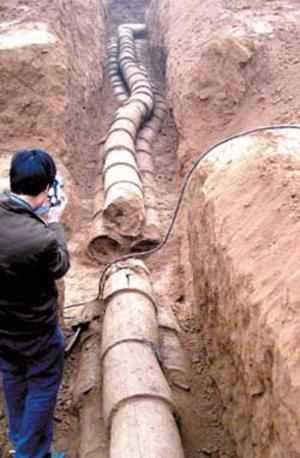 中国有哪些逆天的*物文**?