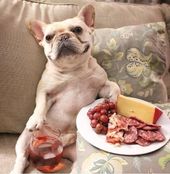 绉戝鍋ュ悍楂樻晥鍏荤墰鏂规硶,鍋ュ悍绉戝鍏荤墰