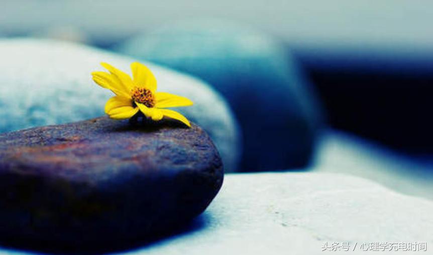 心理学告诉你提高情商的五种方法,心理学告诉你提高情商的五个方法