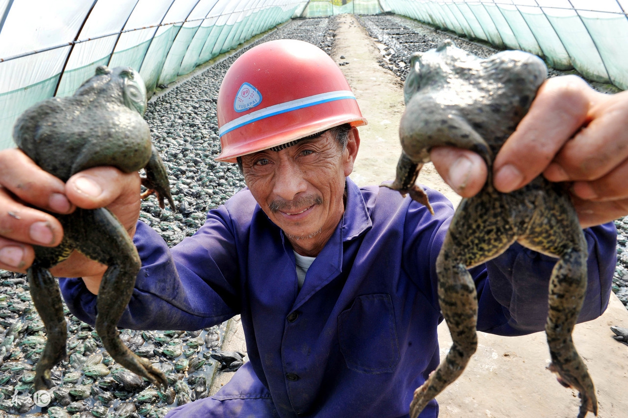 每天有三小时空闲时间做什么兼职,下班后兼职做什么赚钱