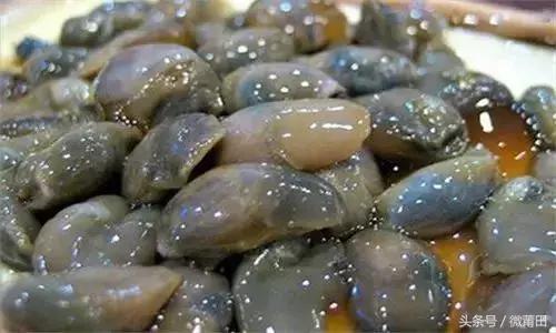 这是我的家乡闽南语,这是我的家乡全部视频