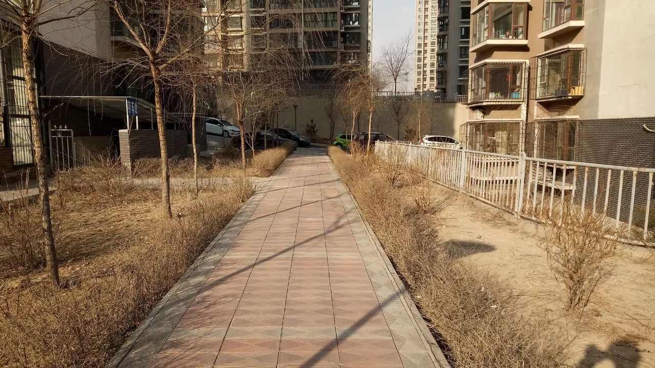 鎽╂墭缃楁媺motoedges,鎽╂墭缃楁媺motog54涓婃墜浣撻獙