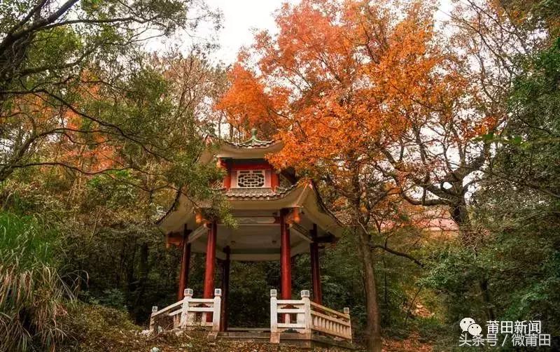 这是我的家乡闽南语,这是我的家乡全部视频