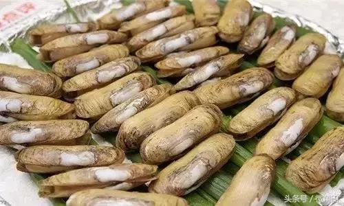 这是我的家乡闽南语,这是我的家乡全部视频