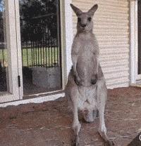 海淘退税方法,海淘海关退税政策