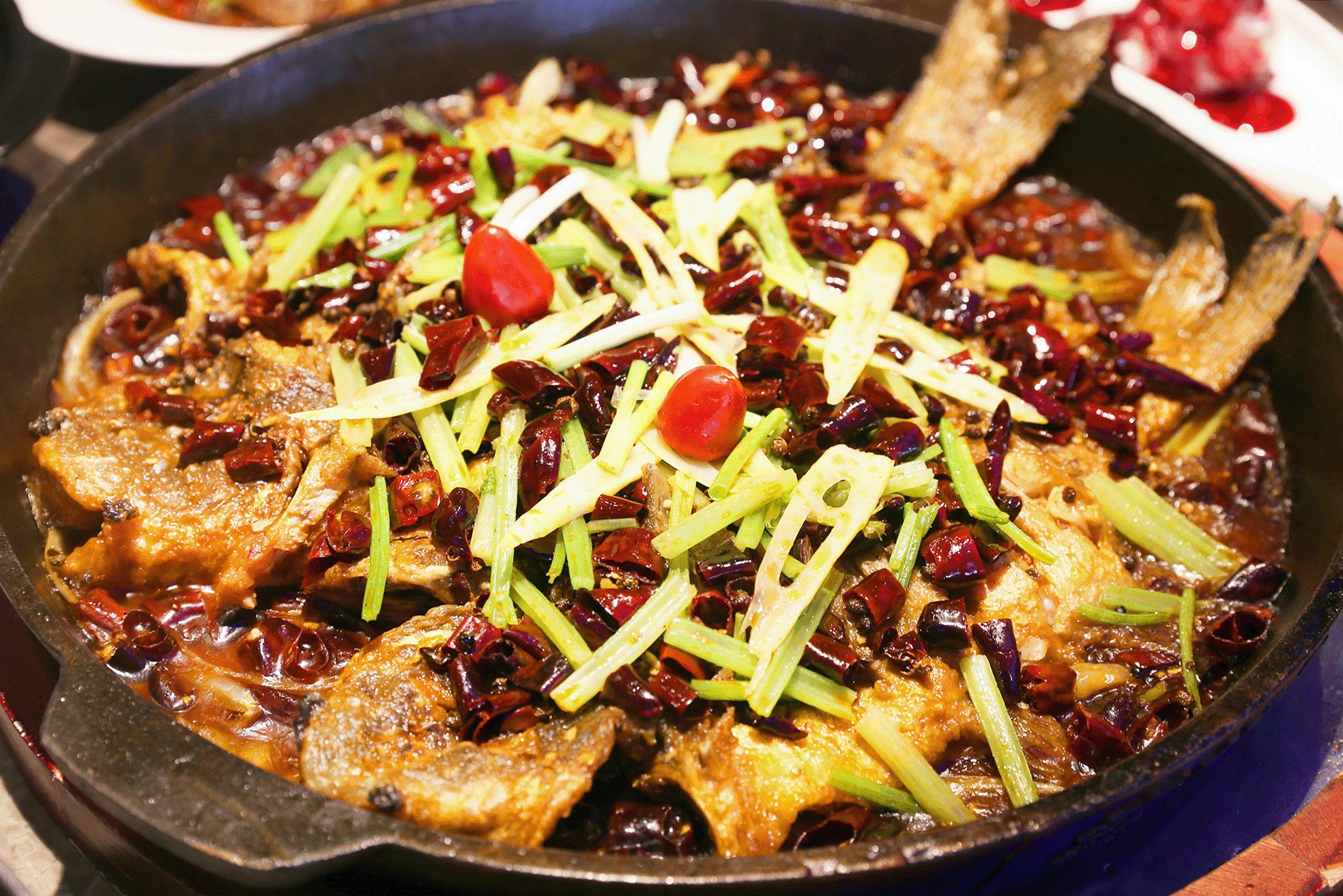 弘阳广场济南老板恋上鱼,济南老板恋上鱼价格