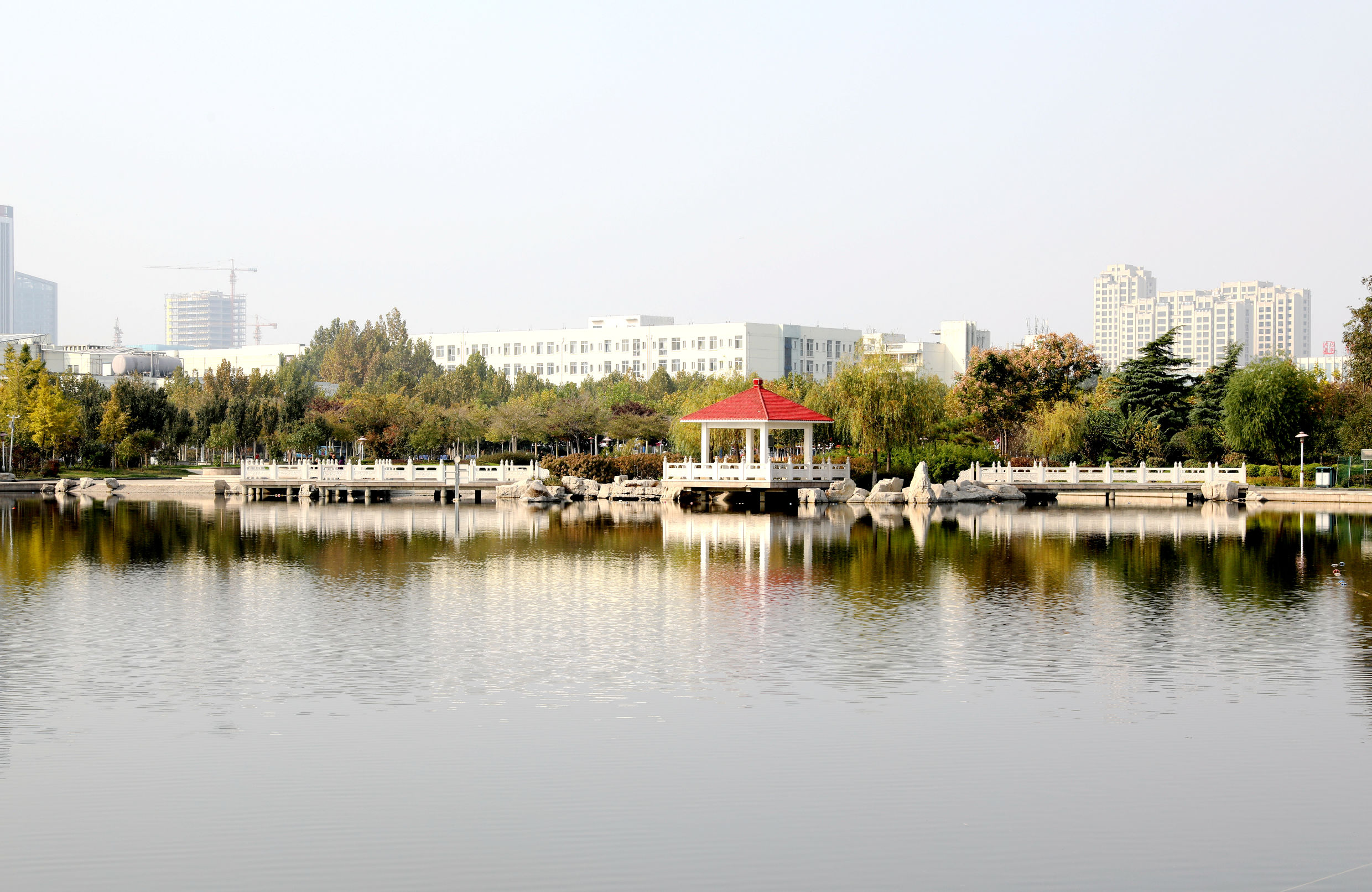 最高超3万,还有1:1配套,山理工发文资助研究生出国学习交流