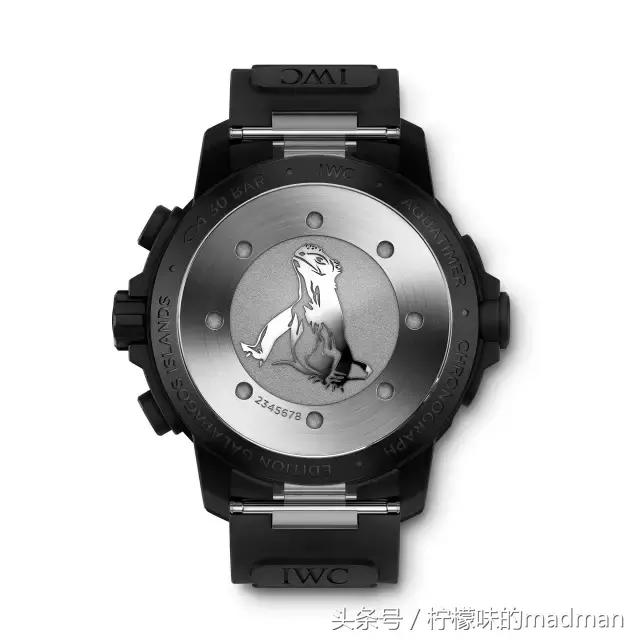 万国之旅手表,万国手表回归