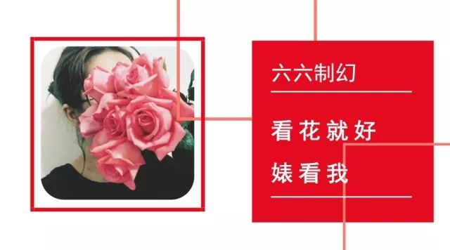 小红莓乐队主唱去世经典曲目回顾,小红莓乐队主唱葬礼