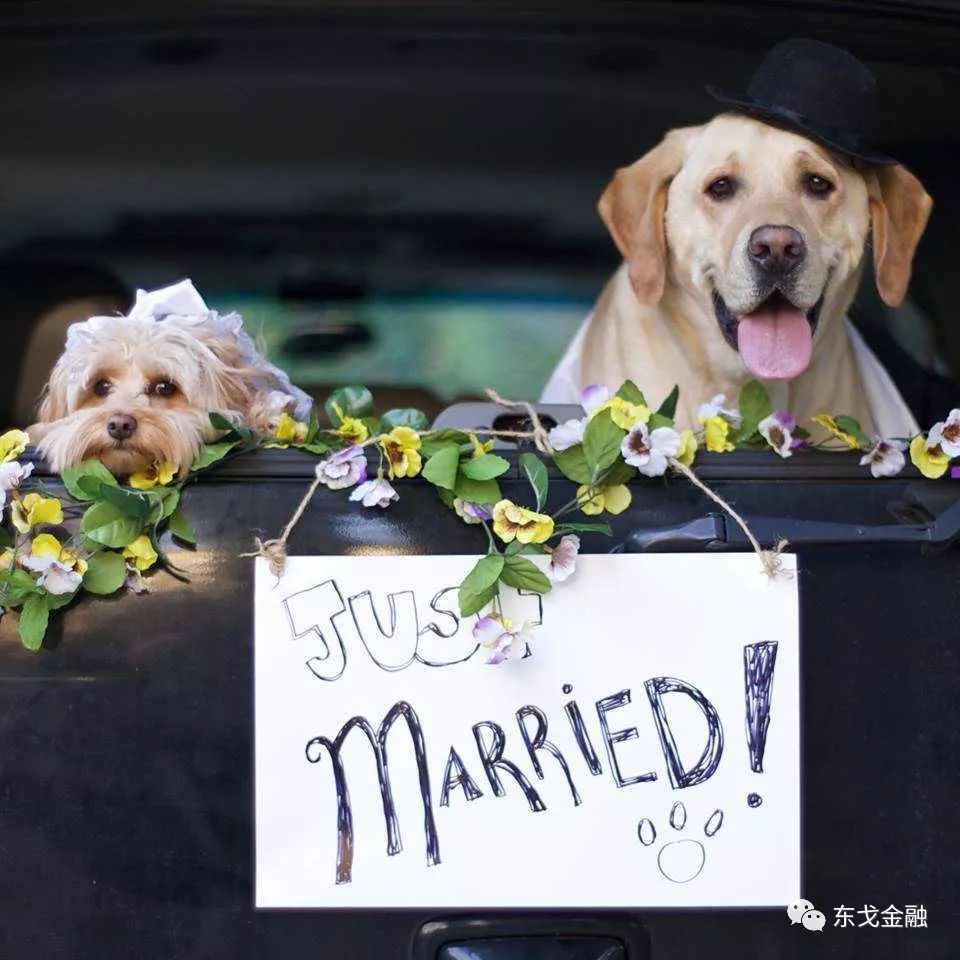 致“狗剩”——那些狗年的剩男剩女们