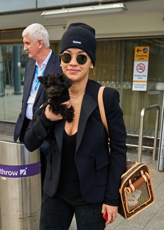 人不如狗系列：住着LV的狗袋，玩着八万元的宠物玩具