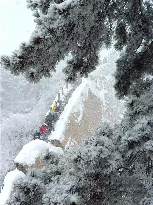 致学生*党**|趁寒假来华山吧!
