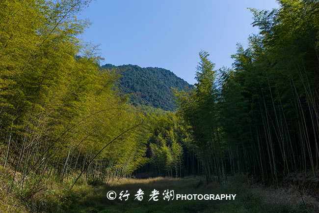 广东春节自驾云南游玩攻略,广东清远2021春节自驾短途游推荐