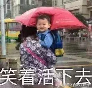 合肥天气昨天大雾情况,特强浓雾来袭全过程