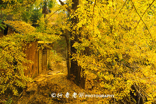 广东春节自驾云南游玩攻略,广东清远2021春节自驾短途游推荐