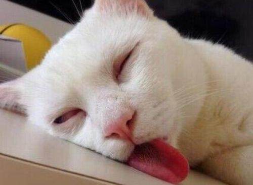 炉石传说：半分钟能计算出如何斩杀，你就是大神！