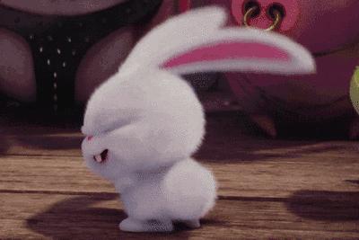 我有兔子你有空吗？来呀，一起喂兔兔呀