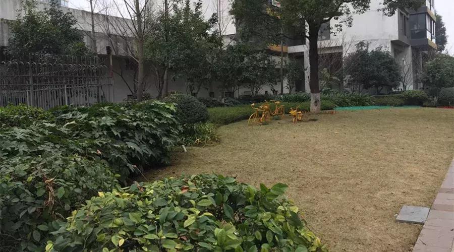 万科金域蓝湾长沙属于哪个板块,长沙万科金域蓝湾涨大水吗