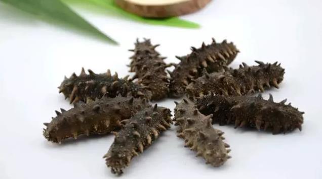 海参海中精品,干海参都有什么品种