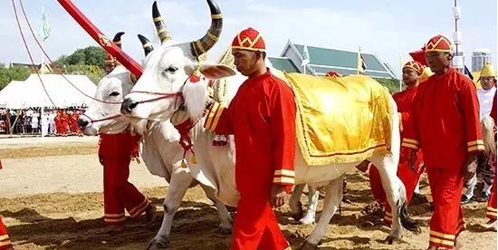 12月10日泰国节日,泰国的节日有哪些