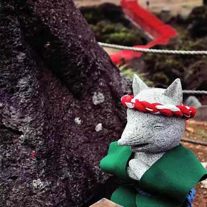 甯︿綘鍘绘棩鏈湅澶滄櫙,涓滀含甯︿綘娓歌鏃ユ湰缇庢櫙