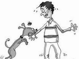 男童遭2恶犬轮番撕咬全身40处受伤,孩子被恶犬撕咬惨遭身亡