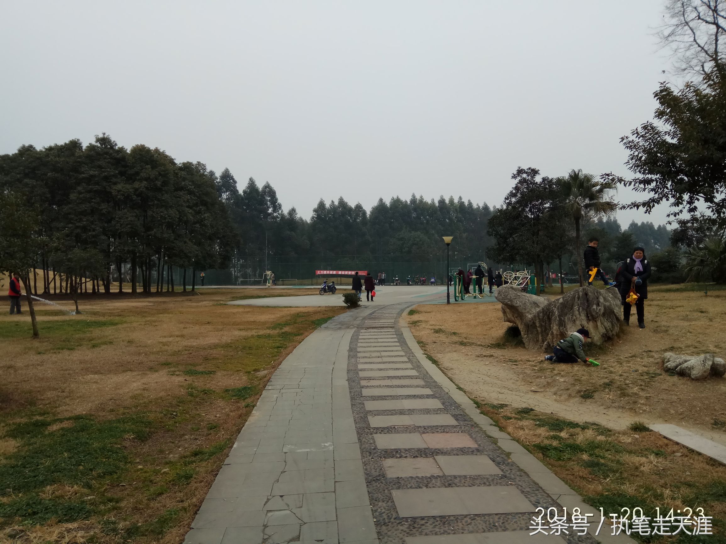 摇房的战友们，随我一起去踩盘——龙泉驿区东城之星观邸