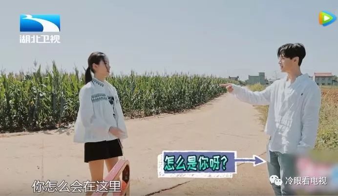 一档恋爱综艺节目,真人秀恋爱节目情侣互动