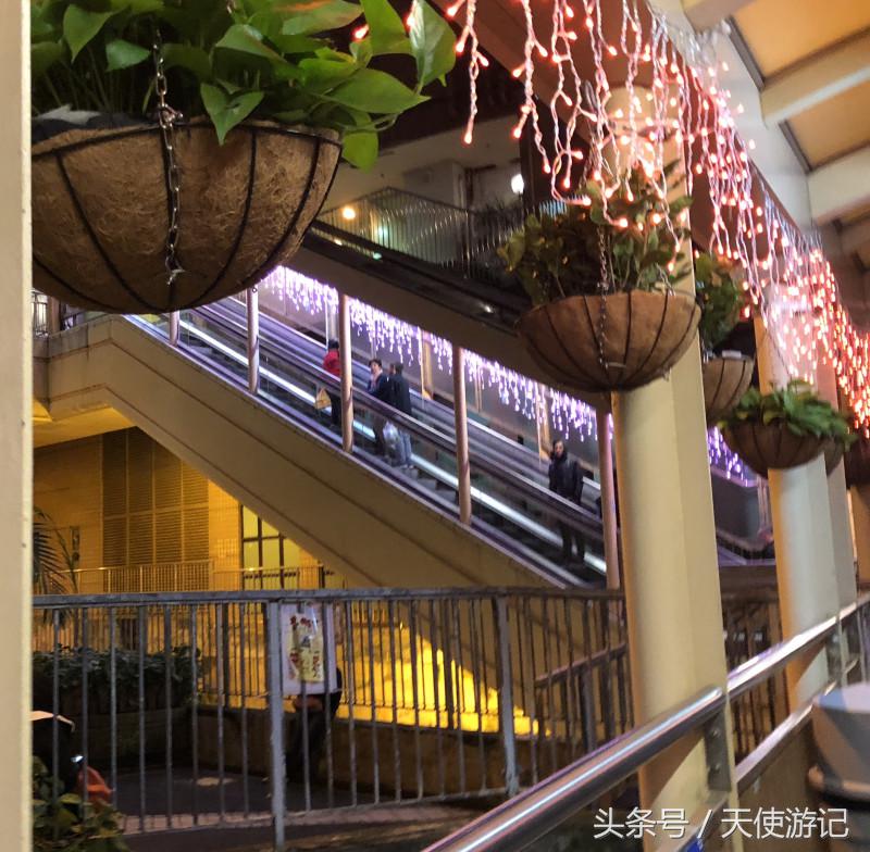 游记:香港3日游超详细攻略,行程乐趣满满,适合第一次去的人