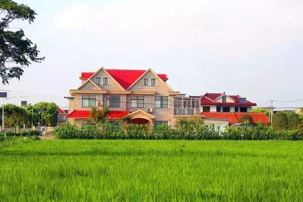 上海小众好玩的地方,上海闵行区小众景点