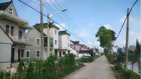 上海小众好玩的地方,上海闵行区小众景点