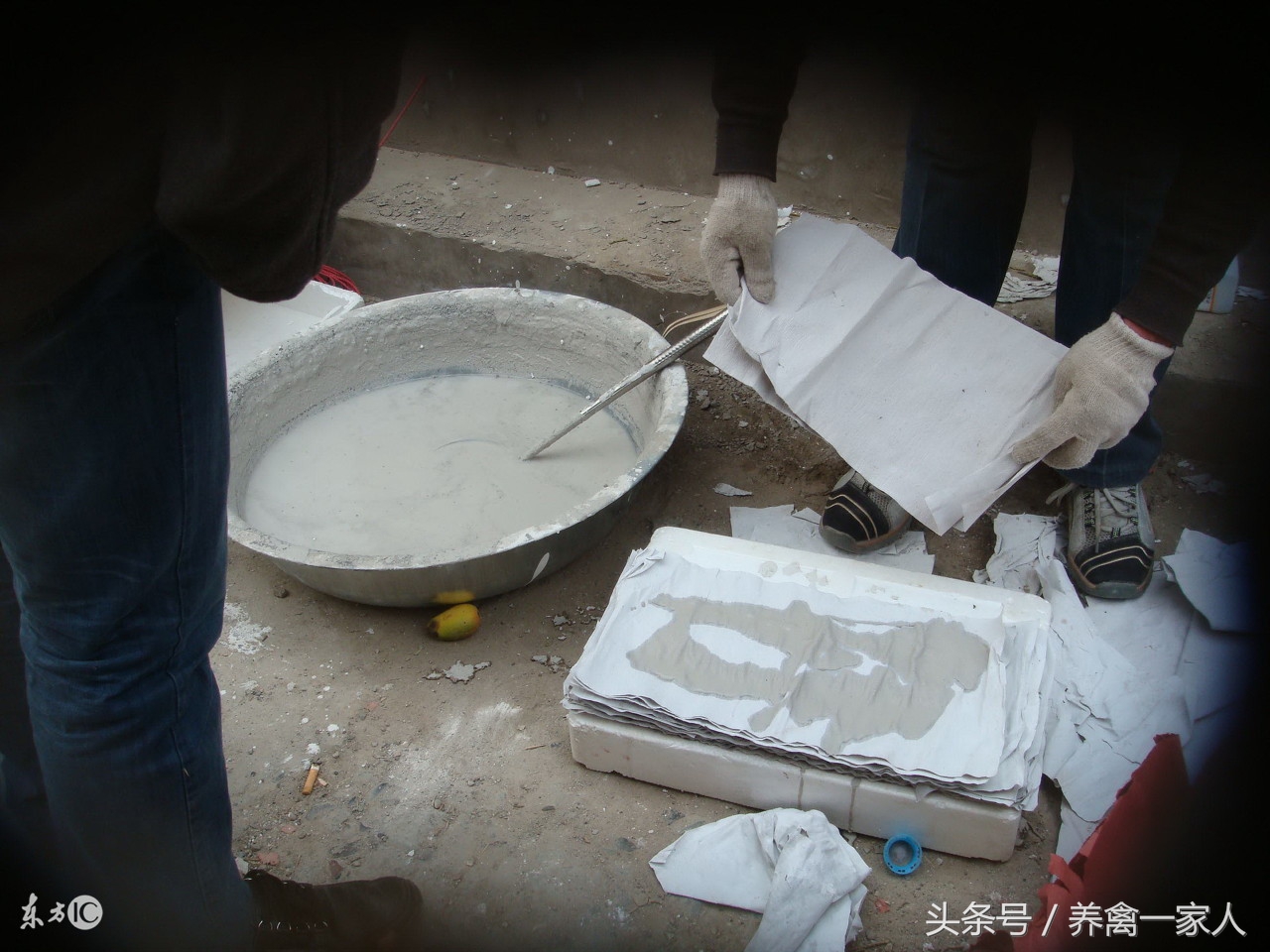 养鸡石灰使用方法,养鸡场生石灰消毒的正确方法